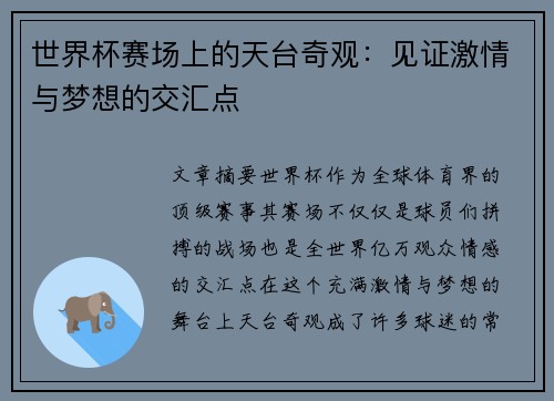 世界杯赛场上的天台奇观：见证激情与梦想的交汇点