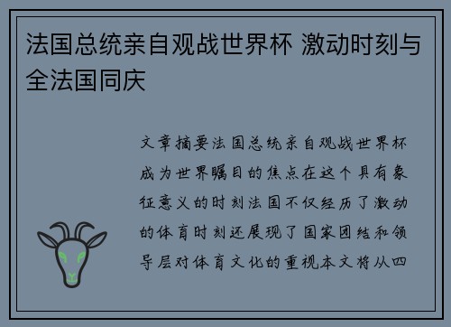 法国总统亲自观战世界杯 激动时刻与全法国同庆